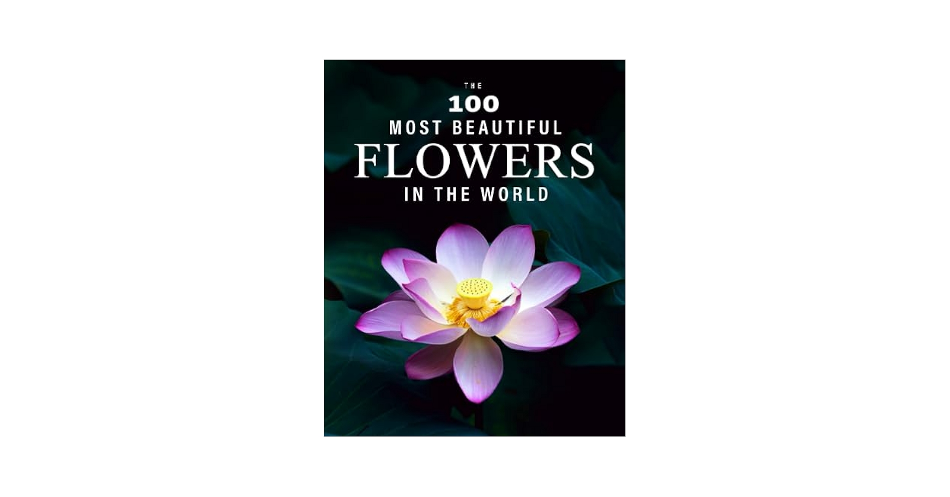The 100 Most Beautiful Flowers in the World: A minimalist