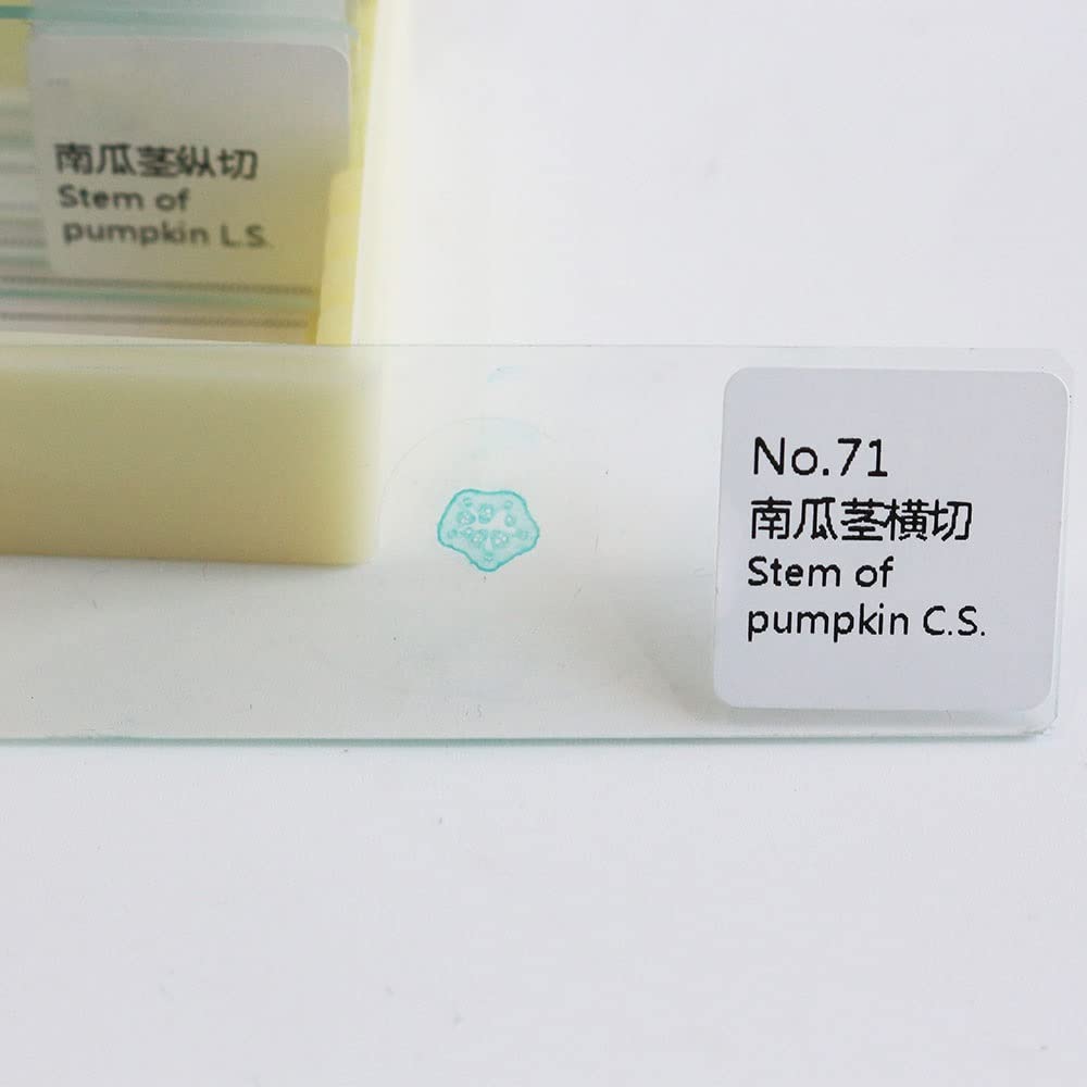 Kit di accessori per microscopio Vetrini for campioni di microscopio da 10 pezzi / 20 pezzi for l'educazione alla biologia scientifica del laboratorio di base degli studenti Vetrini per microscopio(10