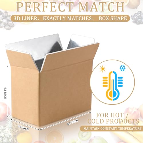 Image of Insulated Shipping Box Cold Double Insulated Carton with Foil Foam Cooler Boxes Delivery Moving Kits Foam Shipping Containers for Mailing Packing, Box Inside 8.7'' x 4.5''x 6.1''(10 Pcs)