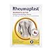 Produktbild Rheumaplast Rheumaplast Wärmepflaster zur Linderung von Muskelschmerzen z.B. im unteren Rückenbereich, effektive und schnelle Wärmetherapie mit der Kraft der Chili, 1 x 2 Pflaster