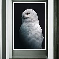 Framed Canvas Wall Art Owl Birds Dramatic Farmhouse/Country Home Office Multicolor Owl Photography - 16x24 inches