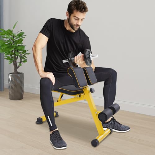 Gdetnysty Banco de fitness multifuncional Roman Chair plegable para abdominales, piernas, bíceps y espalda entrenamiento con 300 kg de carga máxima, altura ajustable, gimnasio en casa
