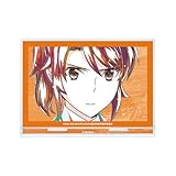 TVアニメ「魔法科高校の劣等生 第3シーズン」 千葉エリカ Ani Art BIGアクリルスタンド