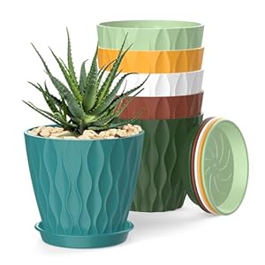 4 Inch Plant Pots, 6 Pack Indoor Fl...
