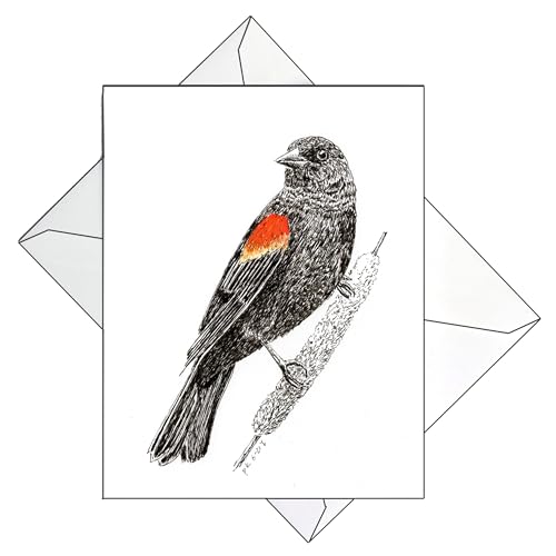 Red-winged Blackbird Note Cards (Pack of Eight)