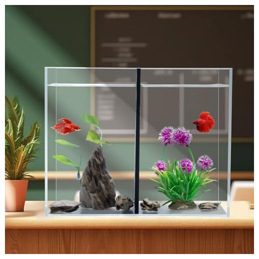 5 Gallon Divider Betta Fish Tank