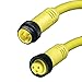 Brad 115033K13M020 Profibus Mini-Change Auxiliary Power A-Size Double-Ended Cordset, Female Right Angle-to-Male Right Angle, 5 Pole, TC-ER Cable Type, TPE (K13) Cable Jacket, 16AWG Wire Size, 8.0A Max Current Rating, 600V AC/DC Max Voltage, 2.0m Cable Length
