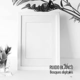  Cámara de ruido blanco