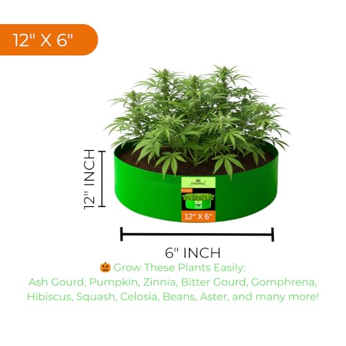 Image of Kingwell Grow Bag For Terrace Garden Leafy Vegetable Plant Grow Bags Fruits Growing Containers For terrece Gardening (12 X 6 INCH, PACK OF 1)