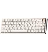 Amazon.com: IQUNIX Magi65 Low Profile Mechanical Keyboard Wireless