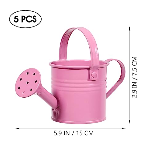 Hemoton Metal Watering Can, 5Pcs Simple Kids Watering Can, Children Garden Watering Bucket Iron Watering Tin Can Sprinkling Kettle For Garden Plants Flower 5.9X2.95X2.95 In (Mixed Color) #TOP2