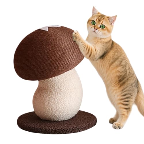 Jouets d'enrichissement et protection de meubles pour chats - 7