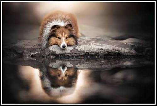 Shetland Sheepdog Cute Pet Dog Animal Diamond Painting Kits for Adults Diamond Art 5D Paint with Diamonds,DIY Painting Kit Paint by Number Birthday Gifts