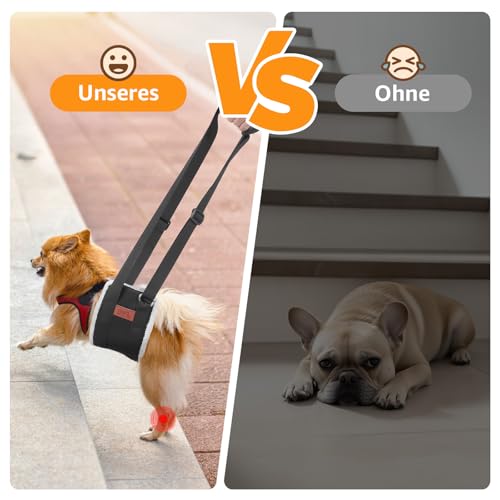 Verstellbarer Hunde Tragehilfe, Tragbarer Tragegurt zur Rehabilitation von kleine Hunden - Gehhilfe mit Griffen als Sicherheitsunterstützung für behinderte, verletzte oder ältere Hunde