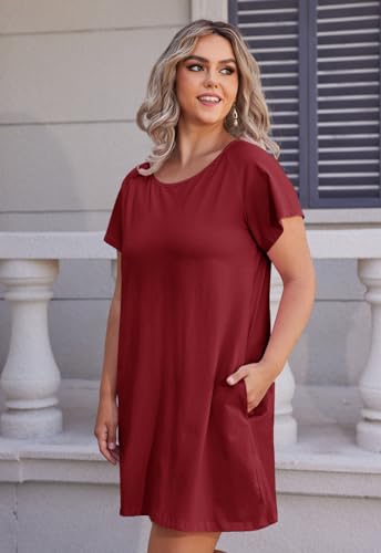 Image of Alaster Women's Casual Summer T Shirt Dress Loose Short Sleeve Tunic Dress with Pocket for Women