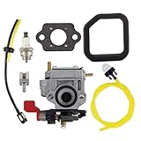 Hippotech Carburateur pour ventilateur Homelite Ryobi UT 08072 UT 08572 UT 08042 carburateur UT 08542 UT 08012 pour Homelite Ryobi référence 308028004