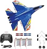 RC Plane 2.4Ghz Remote Control RTF Jet- 2 Channel Su-27 Anti-Fall Aircraft - Easy to Fly Glider with...