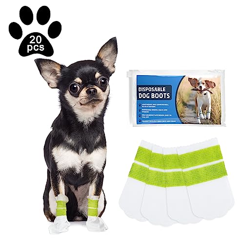 Ladadee ĝĖhpu[eB یp ĝČp\bNX u[eB dѕt ^pAp\bNXveN^[ ^^p