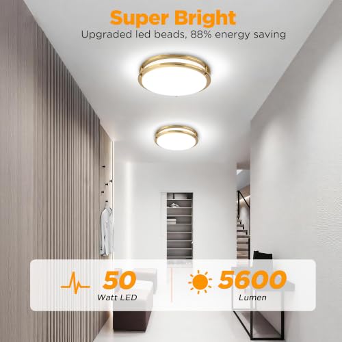 Image of LUTEC 16-Inch Flush Mount Ceiling Light, 2 Pack Dimmable 5CCT (3000K-6500K) LED Ceiling Light, 50W 5600LM Super Bright Energy Efficient Modern Lamp for Bedroom, Hallway, Kitchen-Gold