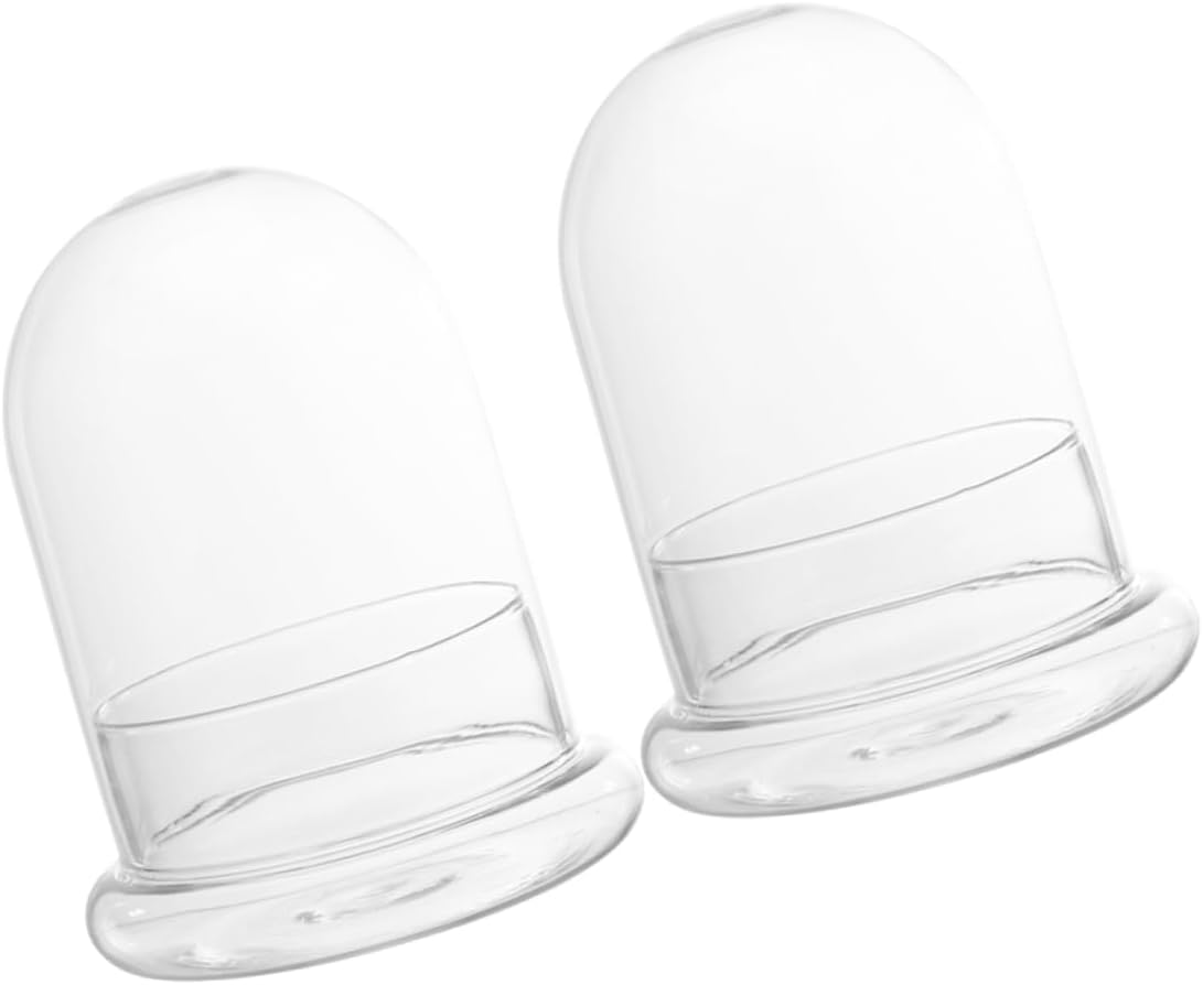BESPORTBLE 2pcs Micro Landscaping Terrarium Glass Bottle Decorative High Borosilicate Containers for Miniature Ornaments for Home Decor and Gift Giving