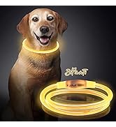 BiPawTi Light Up Dog Collar-LED Dog Collar- Flashing Dog Collar Glow In The Dark Dog Collars, Rec...
