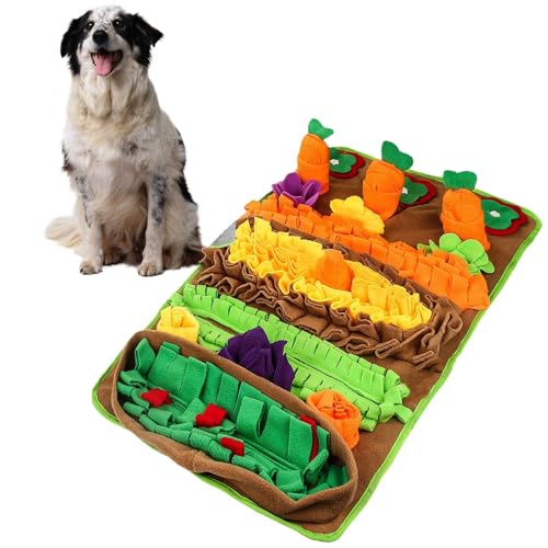 Fournitures d'alimentation à renifler pour chiens souffrant d'ennui