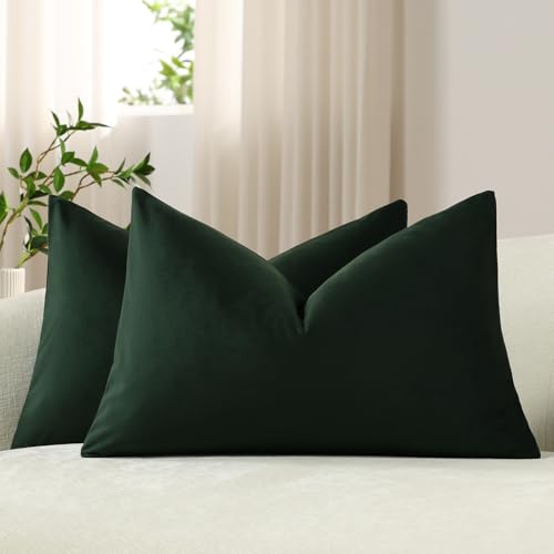 DEZENE Lumbar Pillow Covers 12x20 Dark Green: Pack of 2 Cozy Soft Velvet Rectangular Modern Luxury Decorative Throw Pillow Cases for Sofa Couch Living Room Bed Home Decor