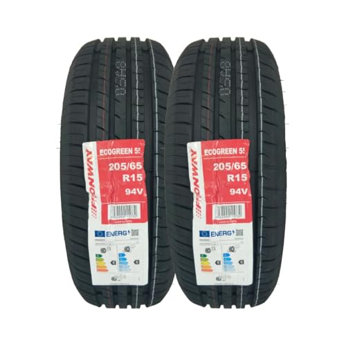 205/65R15 FRONWAY ECOGREEN55 94V Tyre - Low Rolling Resistance Touring Tyre for Fuel Efficiency, Comfort & Long Mileage - 205 65 15 (2)