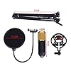 Condenser Microphone Kit,BM-800 Mic Set USB Streaming Podcast PC Studio with Adjustable Mic Suspension Scissor Arm Metal Shock Mount and 2Layer Pop Filter for Studio Recording Broadcasting Skype Black #2