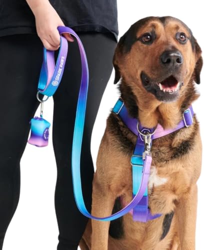 Spark Paws Premium Hundeleine & Kotbeutel Set – robuster Haken aus Legierung für stark ziehende Rassen – bequem, langlebig und sicher - 90's Retro