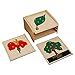 Montessori-Store - Armadietto completo di 3 puzzle botaniche di alta qualità