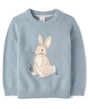 Gymboree,Boys,and Toddler Embroidered Pullover Sweater,Dusty Robin Bunny,8