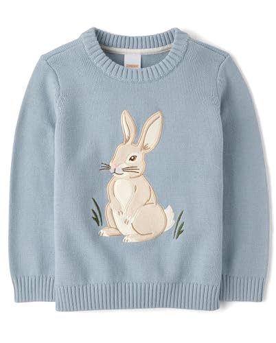 Gymboree,Boys,and Toddler Embroidered Pullover Sweater,Dusty Robin Bunny,8