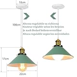 PETITES ECREVISSES B0C4GWRH5F lato 4