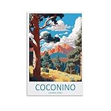 Coconino National Forest Travel Arizona, Wandkunst, 