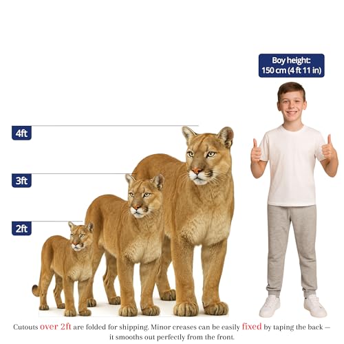 Image of Cougar 3FT Life Size Cardboard Cutout - A Fun Animal Standup for Photo Booths, Birthday Parties, and Events