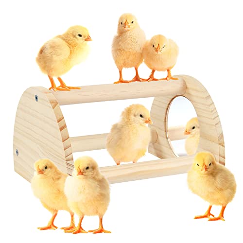 Cubolar Pine Chicken Perch with Mirror Strong Chick Jungle Gym Roosting Bar Chicken Toys for Coop and Brooder Training Perch Toys for Large Bird Parrot Macaw Hens (Small)