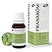 Pranarôm | Huile Essentielle Citronnelle de Java Bio | Cymbopogon winterianus | Partie Aérienne | 10 ml