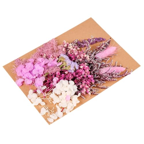 Kit de flores secas para manualidades y decoración miniatura 1