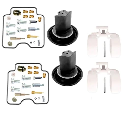 Kit réparation carburateur GS500F résout les fuites et pannes de moteur Suzuki