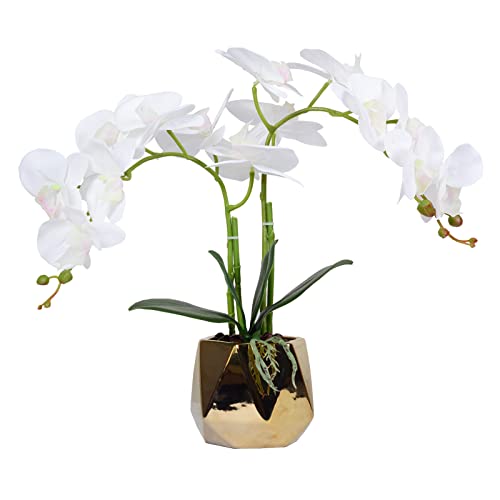 Orchidea Phalaenopsis Finta In Vaso Ceramica – Pianta Artificiale Con Foglie E Radici – Decorazione Casa