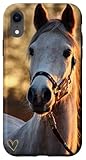 Cadeau Cheval Personnalisé Avec Coeur D'Amour Doré