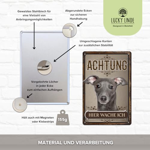 30 x 20 cm wetterfestes Blechschild, Warnhinweis, Torschild, Achtung, hier Wache ich! Warnung vor dem Hund (Windhund Grau Welpe)