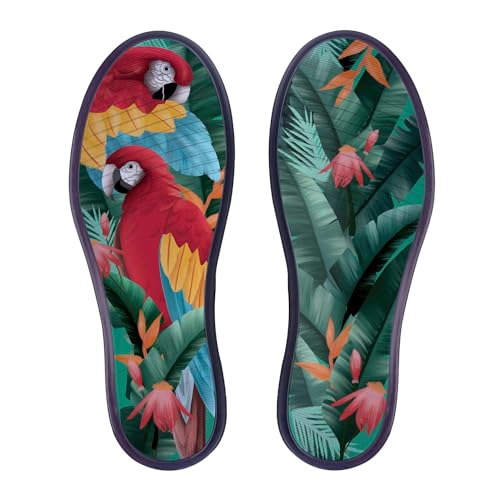 MaCae Unisex Original Knitting Lace-Up Sneaker, Navy Mesh/Macaws, 8 US Women4