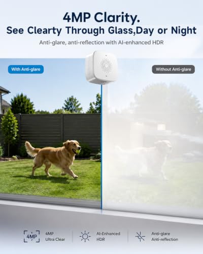 Window Camera - image 4