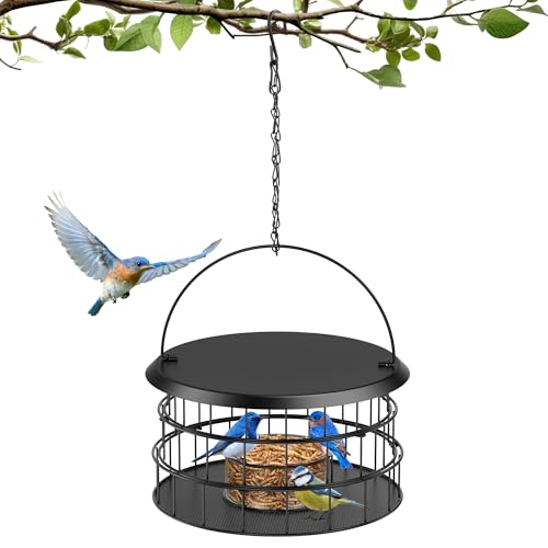 Bluebird Feeders for Outdoors Hanging - Birdfeeder Hanging for Garden Yard Outside, Upgraded All Metal Cage Mealworm Bird Feeder with Tray, Squirrel Proof & Weatherproof, Easy to Refill & Clean