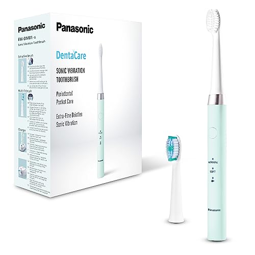 Panasonic EW-DM81 Cepillo Eléctrico (2 Cabezales Incluidos...