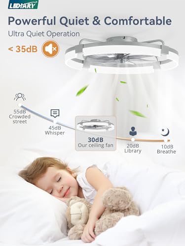 Image of LEDIARY 24 inch Ceiling Fans with Lights and Remote, Modern Low Profile Ceiling Fan, 3 CCT, Stepless Dimmable, Fandelier Flush Mount Fan Light, 6 Speeds, DC Motor, App & Remote Control for Bedroom(Grey)