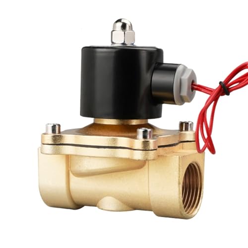 Électrovanne pour automatiser l'arrosage du jardin et coupure d'eau 110V AC