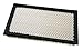 Champion CAP8221 Engine Air Filter